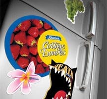 refrigerator magnets x