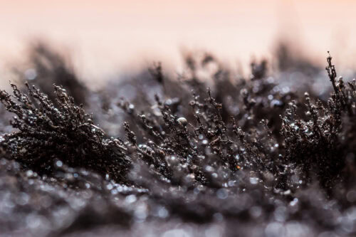 field of iron filings under magnetization